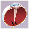 Normal Eye